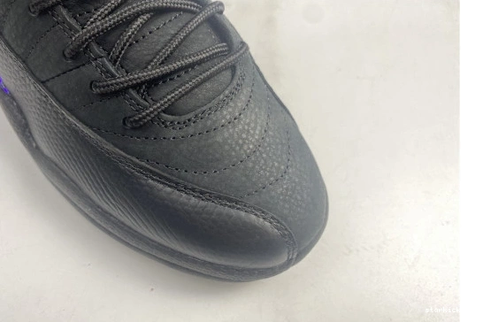 CT8013-005 12 Dark CT8013-005 Concord Air Black Jordan Retro 1031